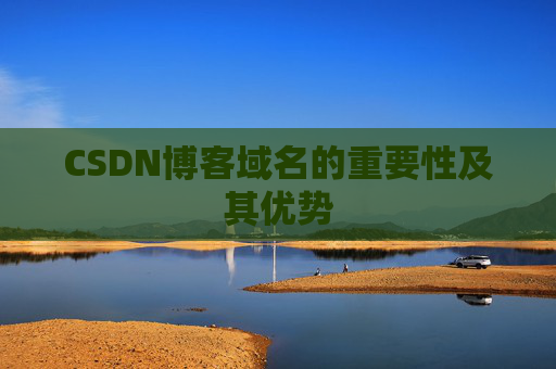 CSDN博客域名的重要性及其优势